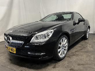 Mercedes SLK SLK (R172) Cabrio 1.8 200 16V BlueEFFICIENCY (M271.861) [135kW]  (02-2=
011/04-2015) picture 3