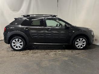 Citroën C4 C4 Cactus (0B/0P) Hatchback 5-drs 1.2 PureTech 82 12V (EB2F(HMZ)) [60k=
W]  (09-2014/...) picture 7