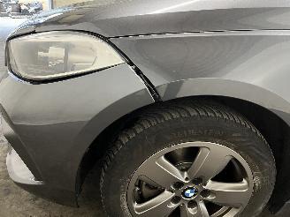 BMW 1-serie 1 serie (F40) Hatchback 116d 1.5 12V TwinPower (B37-C15A) [85kW]  (07-=
2019/...) picture 11