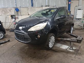 Dezmembrări autoturisme Ford Ka Ka II Hatchback 1.2 (169.A.4000(Euro 4; Euro 5)) [51kW]  (10-2008/05-2=
016) 2010/8