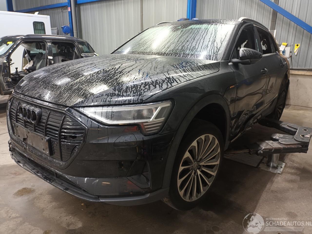 Audi E-tron e-tron (GEN) SUV 50 quattro (EASB) [230kW]  (09-2019/07-2023)