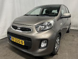 Voiture accidenté Kia Picanto Picanto (TA) Hatchback 1.0 12V (G3LA) [49kW]  (05-2011/06-2017) 2017/3