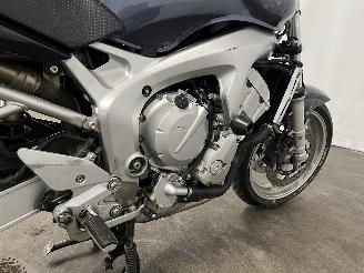 Yamaha FZ 6 Tour picture 13