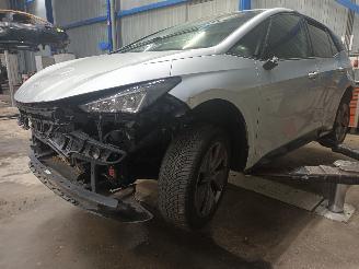 Salvage car Cupra Born Born 62 kWh (EBJC) [150kW]  (08-2021/...) 2024