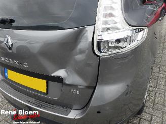 Renault Scenic 1.2 TCe Limited picture 5