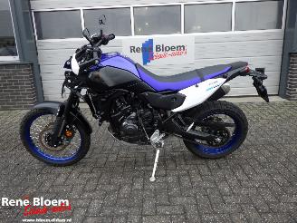dommages motocyclettes  Yamaha  XT700 Tenere 2025/6