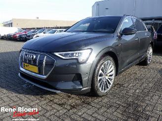 Auto incidentate Audi E-tron 55 Quattro 95kwh Aut 408pk 2021/1