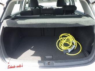 Volkswagen e-Golf e-Golf picture 11