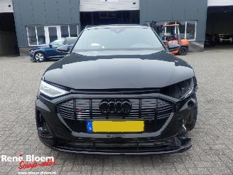 Audi E-tron 55 Quattro S Edition 95kWh picture 3