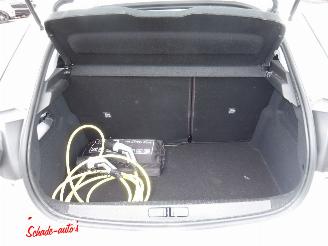 Opel Corsa Electric picture 11