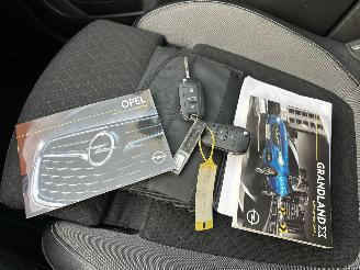 Opel Grandland X 1.2 Turbo 131pk 6-bak Online Edition - nap - navi - clima - cruise - pdc v+a - carplay - privacy glass picture 19