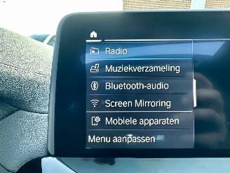 BMW X3 Xdrive30E 259pk aut eDrive Ed - pano - nap - 20 inch - leer - keyless - stuurverw - front + line + side + park assist picture 37