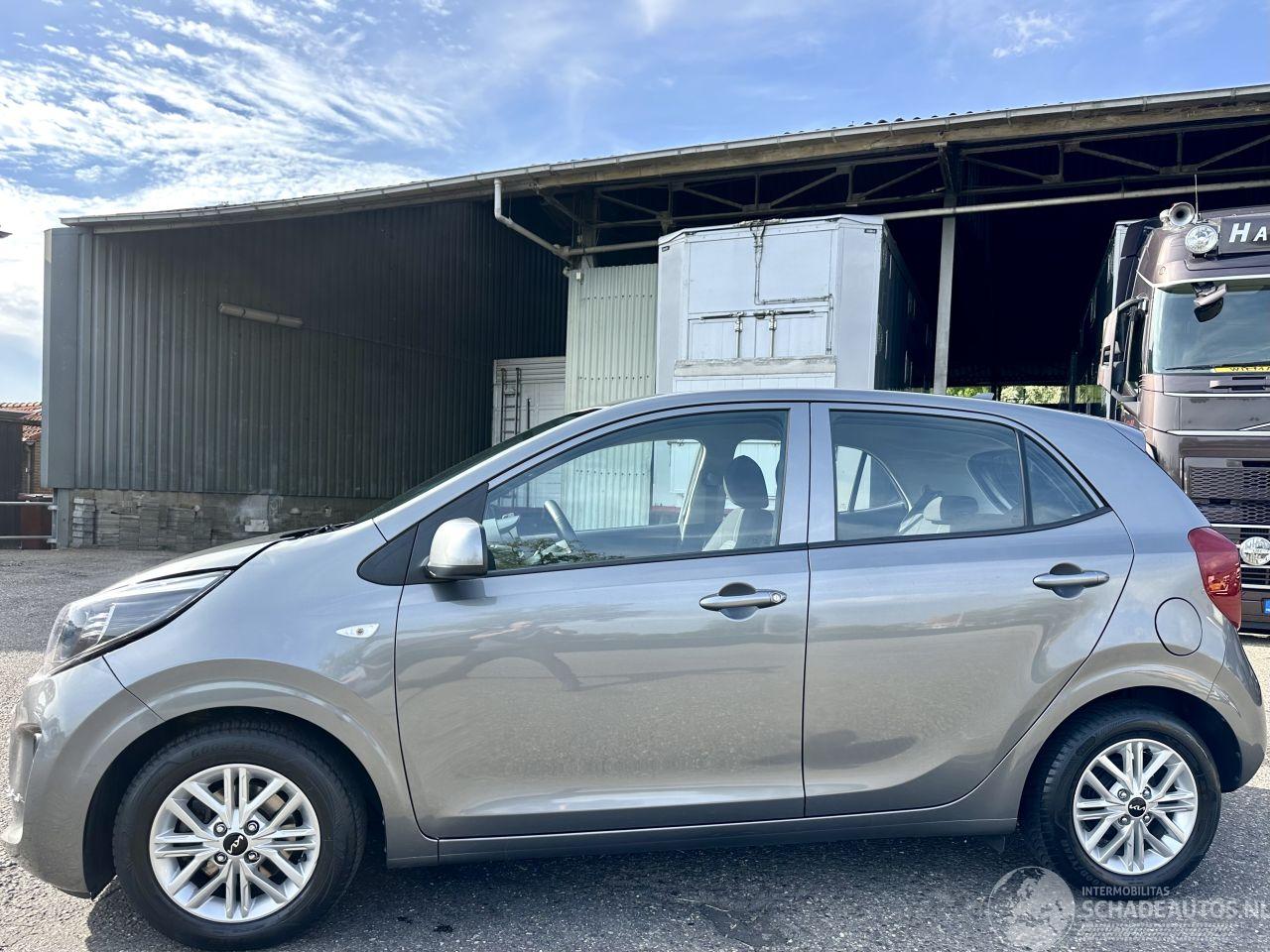 Kia Picanto 1.0 DPi 67pk DynamicLine 5drs - nap - camera - front assist - airco - cruise - carplay - lmv - lichtsensor