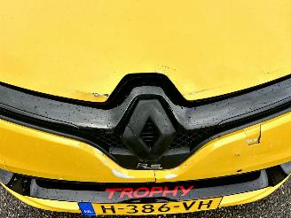Renault Clio RS Trophy 1.6 Turbo aut + F1 290pk - navi - cam - leer - rode gordels - bose - 18 inch - stage 2 - keyless picture 9