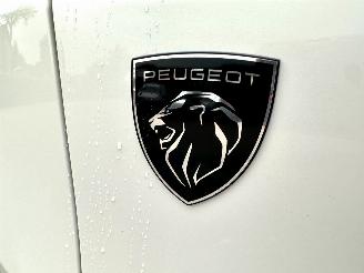 Peugeot 3008 2.0 BlueHDi 179pk Aut + F1 GT-Line - pano - nap - 1e eig - virtual - nav - camera - keyless - sfeerverl picture 103