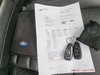 Ford C-Max 2.0 Plug-in Hybrid Titanium Plus picture 17