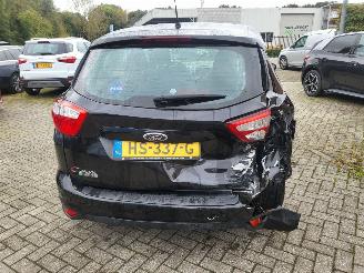 Ford C-Max 2.0 Plug-in Hybrid Titanium Plus picture 12
