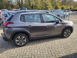 Peugeot 2008 AUTOMAAT  2008 1.2 PureTech Allure 1e eigenaar DE MOOISTE VAN NEDERLAND picture 6