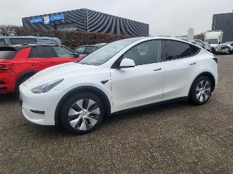 Tesla Model Y MODEL Y RWD 58 kWh range 455 km 52000 km rijdbaar 2024/11