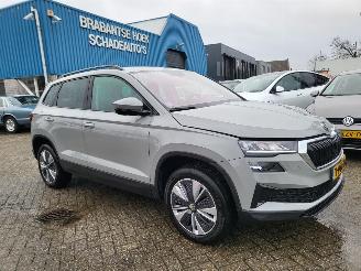 Skoda Karoq Karoq 1.5 TSI ACT Business Edition Plus rijdbaar nwpr € 44000 2023/9