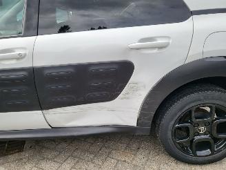 Citroën C4 cactus C4 Cactus 1.2 VTi Shine NAVI,AIRCO,CAM rijdbaar picture 12