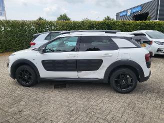 Citroën C4 cactus C4 Cactus 1.2 VTi Shine NAVI,AIRCO,CAM rijdbaar picture 13