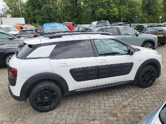 Citroën C4 cactus C4 Cactus 1.2 VTi Shine NAVI,AIRCO,CAM rijdbaar picture 10