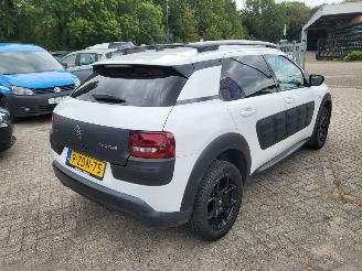 Citroën C4 cactus C4 Cactus 1.2 VTi Shine NAVI,AIRCO,CAM rijdbaar picture 7