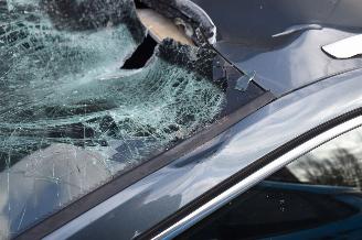 Skoda Octavia 1.0 Tsi Business Edition Plus 110Pk *Navi/Clima/Camera/Stoelverwarming picture 26