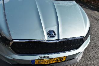 Skoda Enyaq 60Kwh 179Pk 3FASE *Navi/Clima/Camera/Panorama/Stoelverwarming picture 23