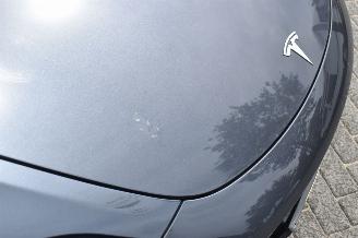 Tesla Model 3 75Kwh Long Range AWD 351Pk 84% SOH *Navi/Clima/leder/Camera/Panorama picture 13