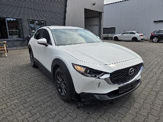 Mazda CX-30 BENZINE-HYBR / CAMERA / NAVI / HEAD UPP picture 14