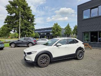 Mazda CX-30 BENZINE-HYBR / CAMERA / NAVI / HEAD UPP picture 2