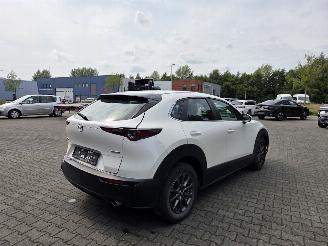 Mazda CX-30 BENZINE-HYBR / CAMERA / NAVI / HEAD UPP picture 9