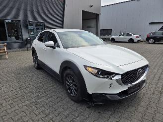 Mazda CX-30 BENZINE-HYBR / CAMERA / NAVI / HEAD UPP picture 10