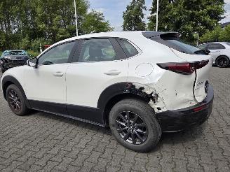 Mazda CX-30 BENZINE-HYBR / CAMERA / NAVI / HEAD UPP picture 6