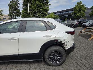 Mazda CX-30 BENZINE-HYBR / CAMERA / NAVI / HEAD UPP picture 4