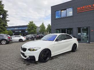 škoda osobní automobily BMW 1-serie 218i COUPE /  M- PERFORMANCE 2019/10