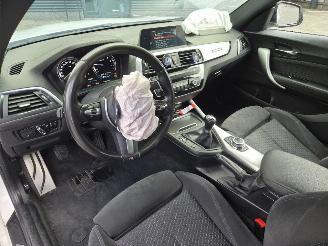 BMW 1-serie 218i COUPE /  M- PERFORMANCE picture 16