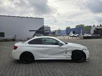 BMW 1-serie 218i COUPE /  M- PERFORMANCE picture 10