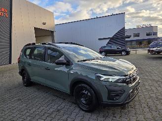 Dacia Jogger 81kw benzine picture 10