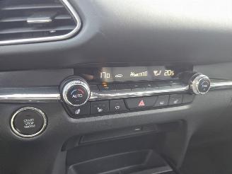 Mazda CX-30 137KW /HYBR / AUTOM /SHUIFDAK / LEER /HEAD UPP picture 23