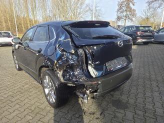 Mazda CX-30 137KW /HYBR / AUTOM /SHUIFDAK / LEER /HEAD UPP picture 7