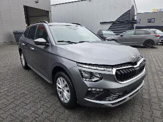  Skoda Kamiq AUTOMAAT / PANO / NAVI / CAMERA / STOELVERW 2025/3