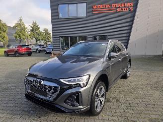 Auto incidentate Audi Q8 e-tron 50 quattro S line 2024/8