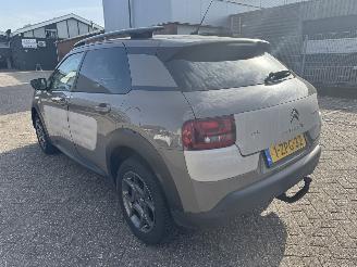 Citroën C4 cactus 1.2 e-VTI Shine/automaat/camera/clima/navi/61350dkm picture 6