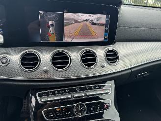 Mercedes E-klasse 300 de AMG Line/automaat/camera/clima picture 10