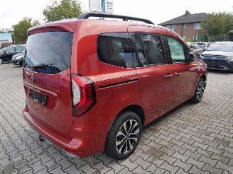 Renault Kangoo TECHNO WATERSCHADE picture 4