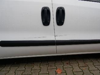 Fiat Doblo L2H2 picture 9