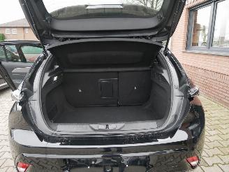 Peugeot 308 GT MATRIX LED PANORAMADAK picture 21